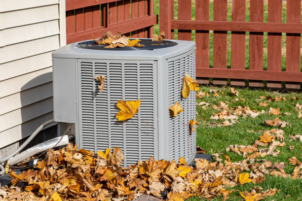 Best HVAC air duct cleaning  in Bethel, NC